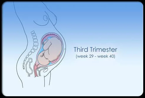 مراحل الحمل اسبوع باسبوع - 16 الثلث الثالث للحمل